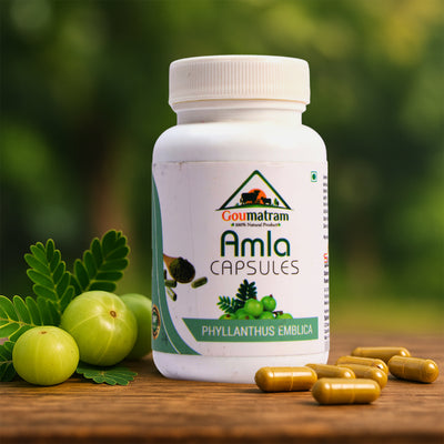 Amla Capsules