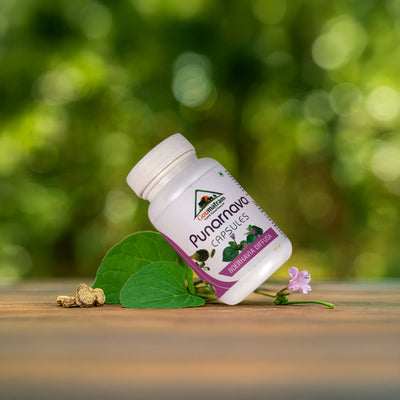Punarnava Capsules
