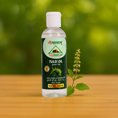 Tulsi Oil